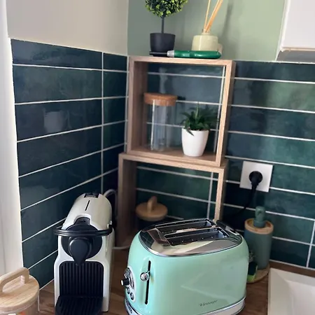 Apartmán Jungle Deluxe Elegant Et Cosy Au Centre De Fontainebleau, Proche Insead