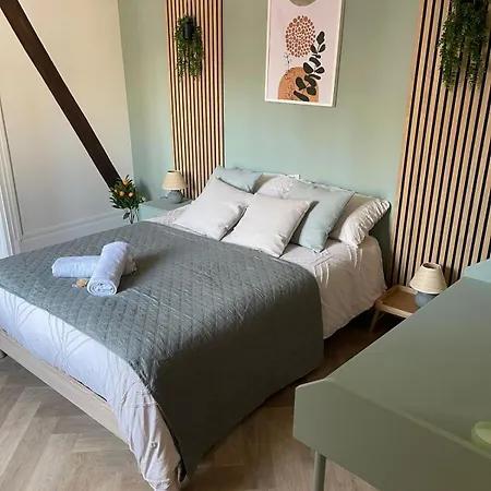 Jungle Deluxe Elegant Et Cosy Au Centre De Fontainebleau, Proche Insead Lägenhet